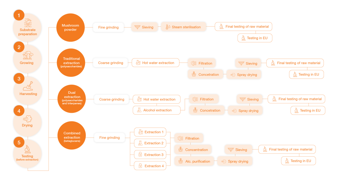 diagramma-extrakce-mycomedica-it