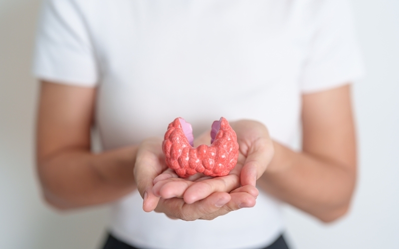 Perch i funghi medicinali  sono indicati anche per le malattie autoimmuni?