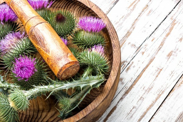 La primavera fa bene al fegato, disintossica l'organismo