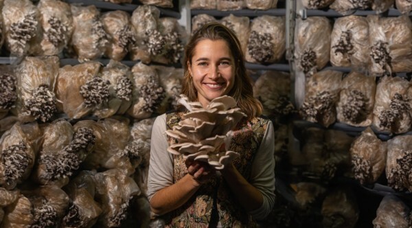 Trovare l'equilibrio. Come funzionano i funghi vitali?