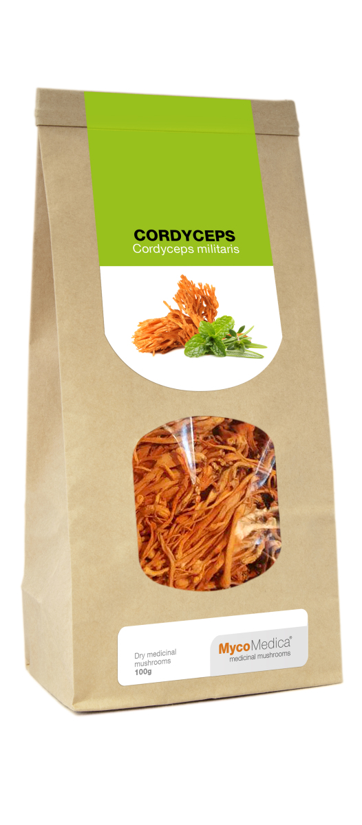 Essiccato Cordyceps