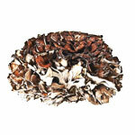 Polvere BIO Maitake
