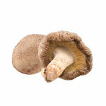 Estratto Shiitake 30%